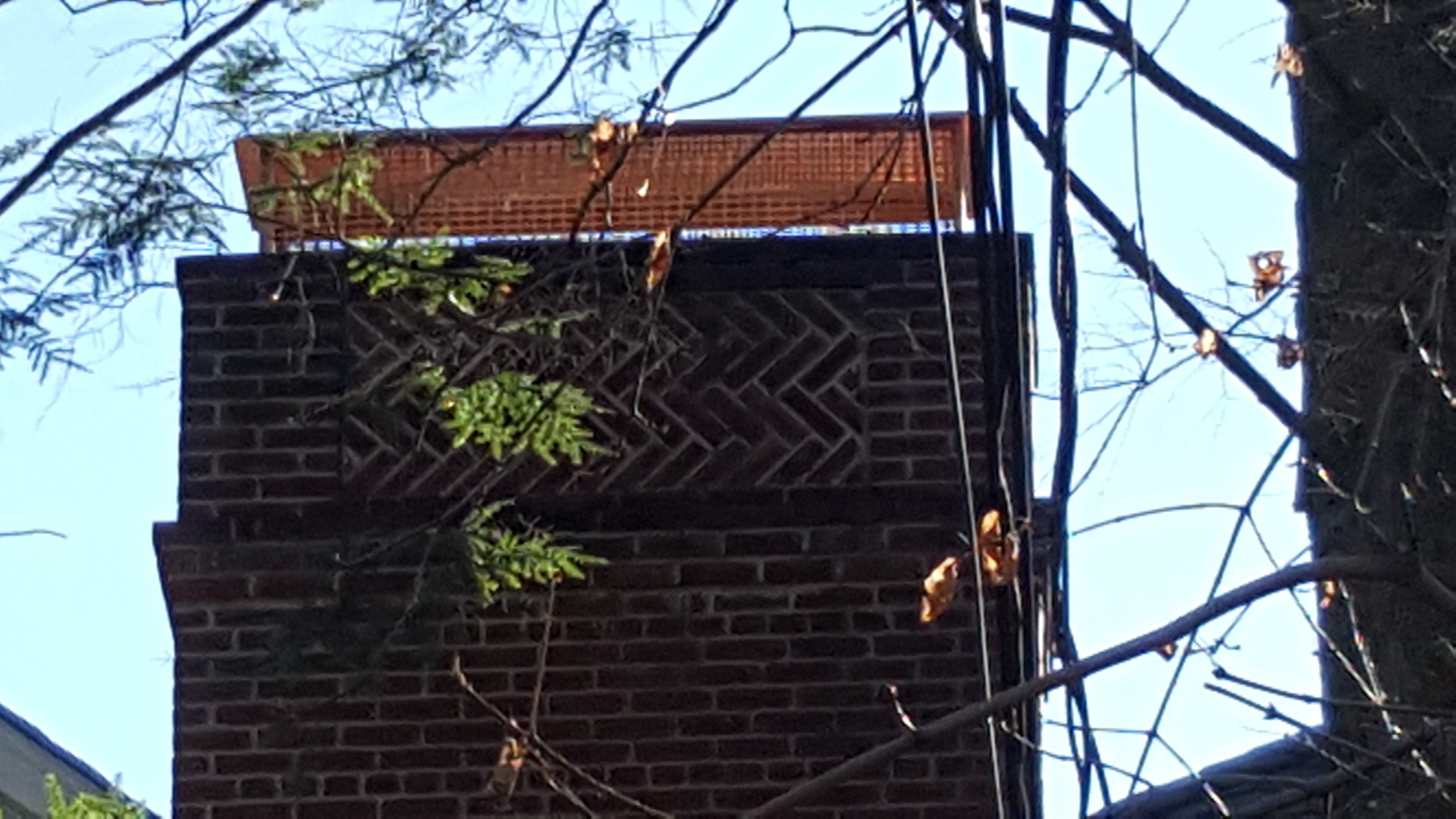 Animal-proof chimney cap protecting home in Bridgehampton, New York